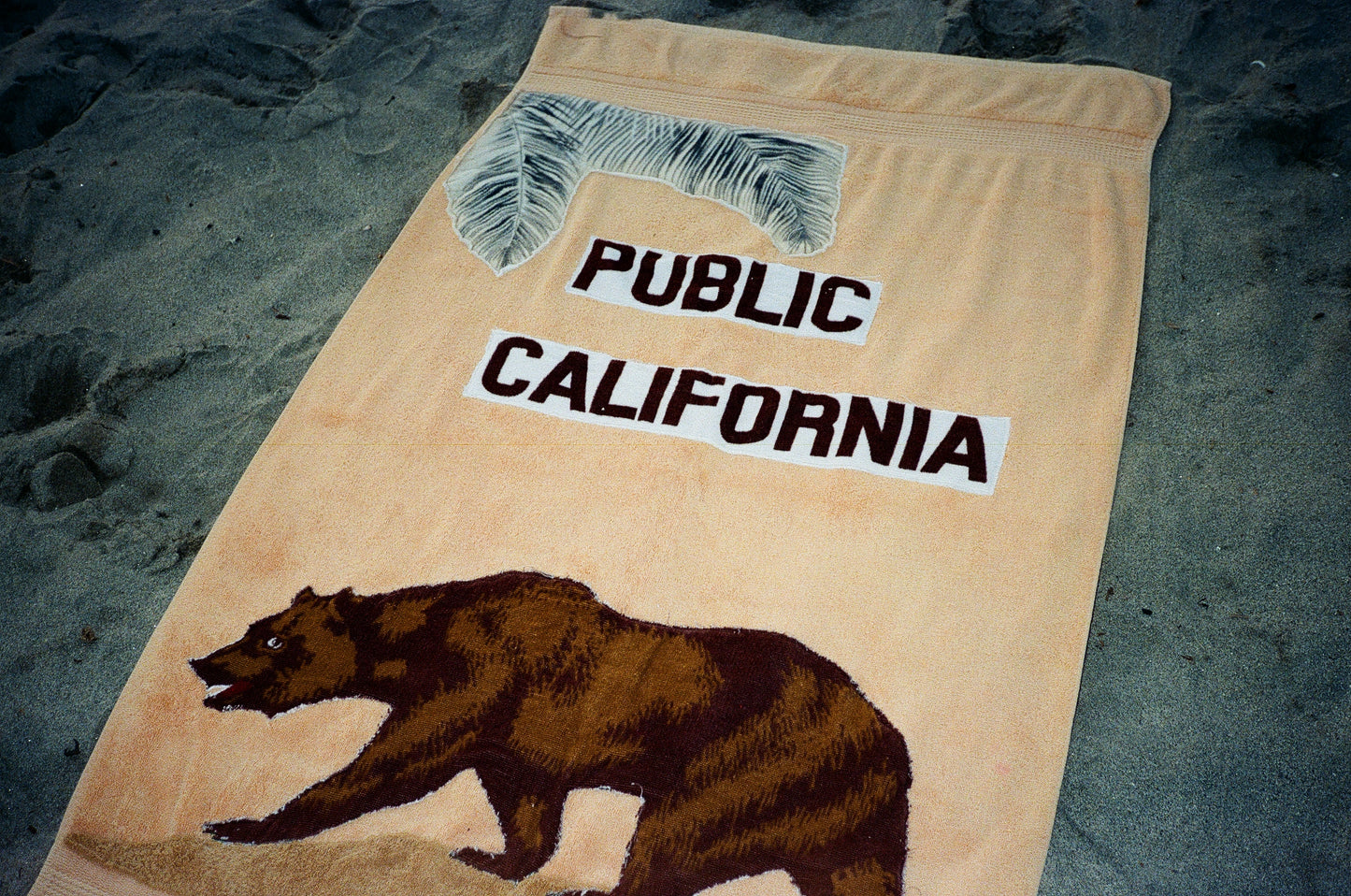 PUBLIC CALIFORNIA