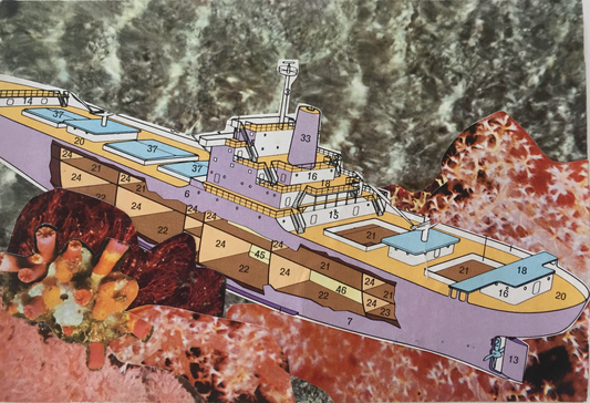 CORAL CRUISE