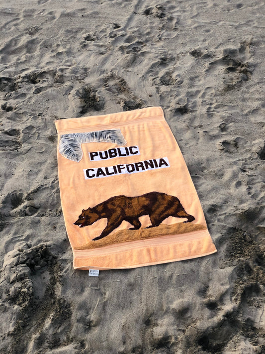 PUBLIC CALIFORNIA