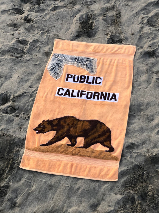 PUBLIC CALIFORNIA
