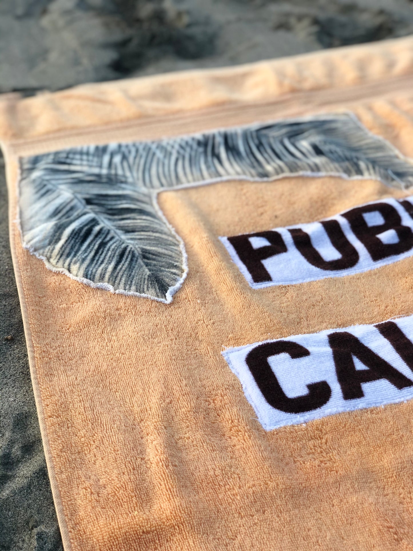PUBLIC CALIFORNIA