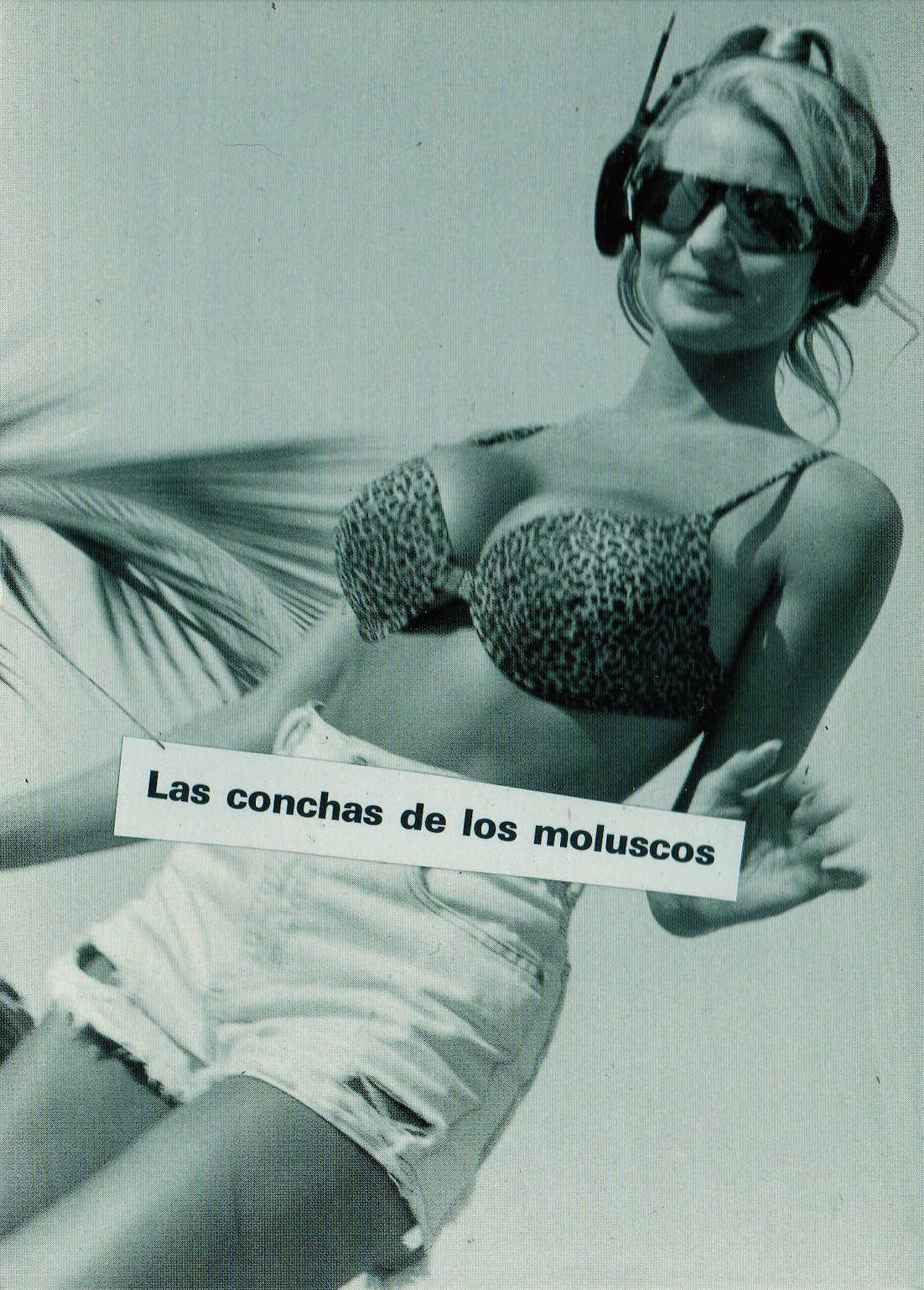 LAS CONCHAS